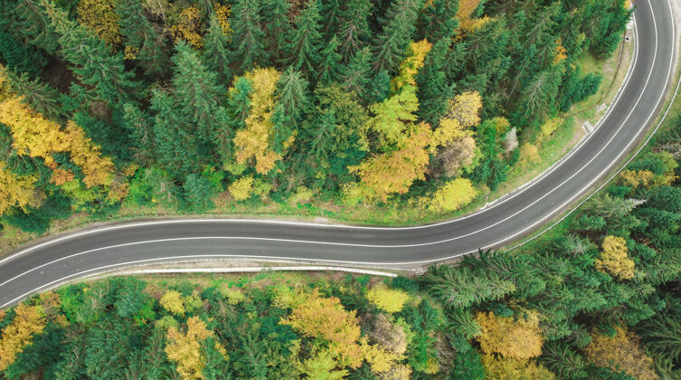 山秋天蜿蜒山路的景色从森林里蜿蜒的道路上的无人机俯视图路线季节路