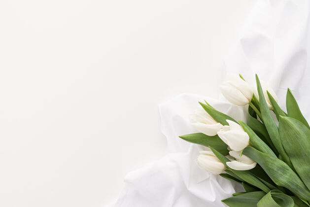 浪漫春天的概念白色郁金香花束和织物 用于白色背景上的实体模型设计 带有复制空间花开花叶子