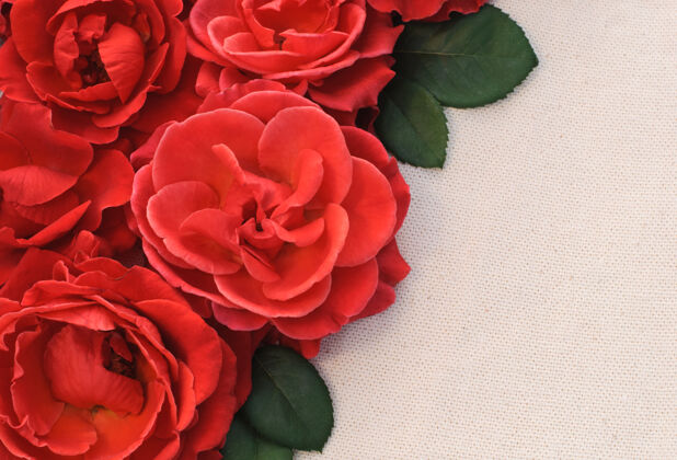 插花淡色背景上的红玫瑰 贺卡贺卡情人卡婚礼请柬