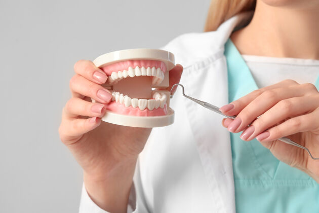 牙龈光表面塑料下巴模型的女牙医 特写服务访问年轻人