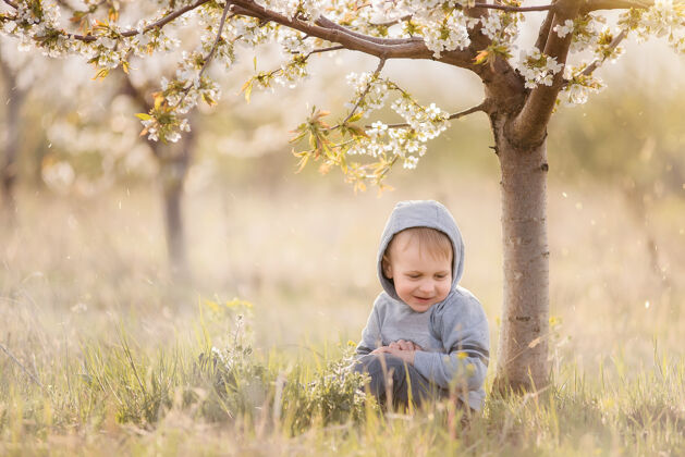 幼儿穿着灰色运动衫 头戴风帽的金发小男孩坐在开花树下的绿草里户外微笑野餐