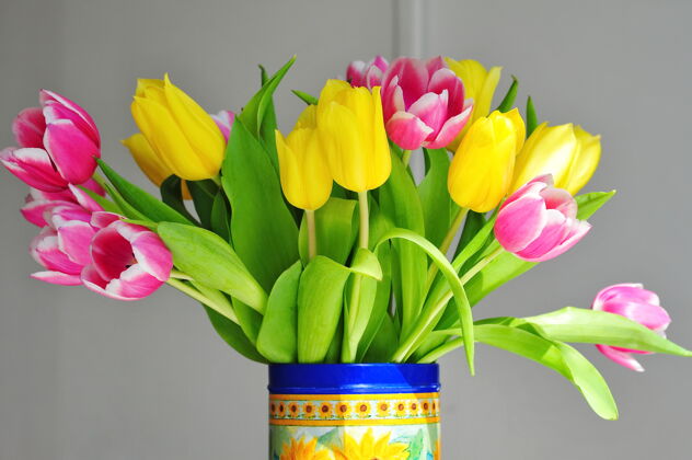 妇女节花瓶里有一束五颜六色的郁金香礼物明亮束