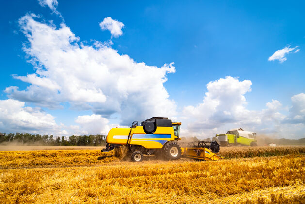 灰尘农业机器在田里收割庄稼栽培景观场景
