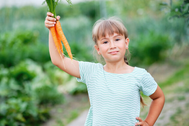 蔬菜小女孩在厨房里摘胡萝卜花园.秋天蔬菜收获根储蓄生物