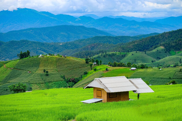 旅游泰国清迈北部的巴邦片梯田旅游景观农业