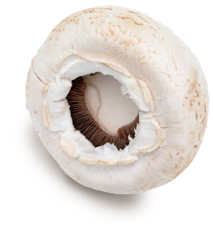 成熟平菇（香菇 切脚菇 双孢蘑菇）和生的 孤立的在白色背景上有机蘑菇饮食