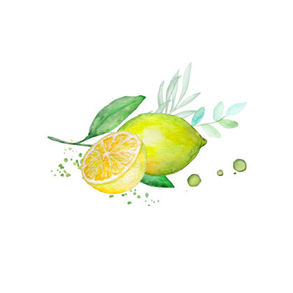 黄色水彩画柠檬枝和半个柠檬水彩画柠檬树枝