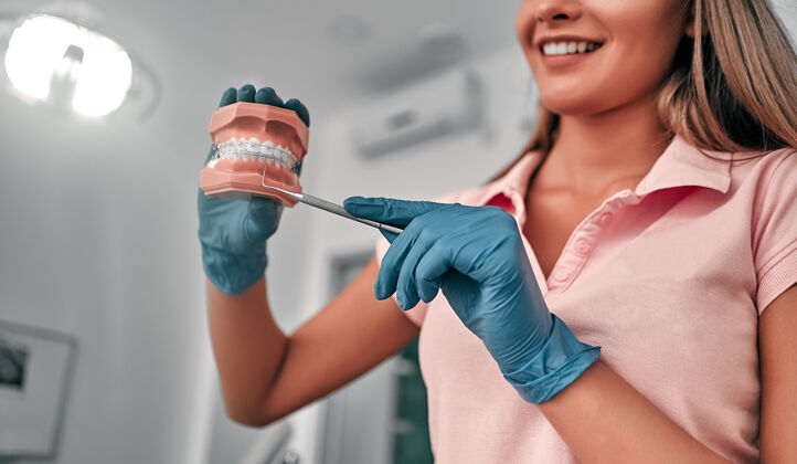 健康女牙医 在牙科诊所拿着一个下颌牙齿样本 接受正确的牙齿清洁培训 演示口腔卫生专业清洁办公室