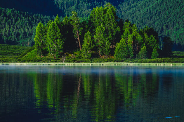 俄罗斯森林倒映在俄罗斯阿尔泰共和国乌拉甘斯基地区的山湖中阿尔泰倒影野生湖泊