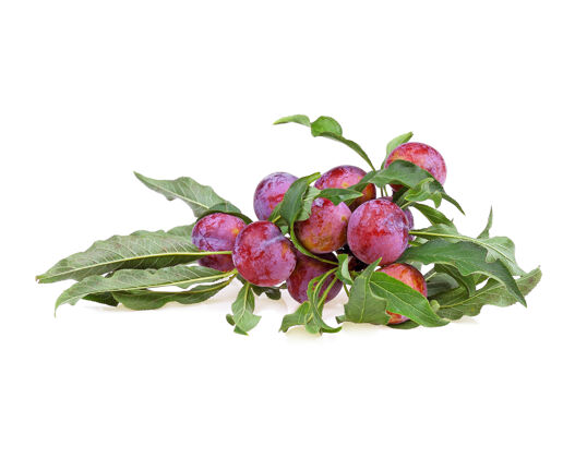 甜红樱桃李子和绿色的叶子隔离在白色的背景上美味农业有机