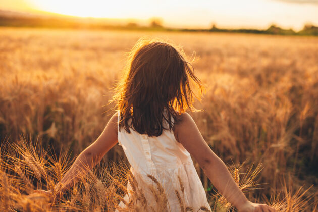 表达一个可爱的小女孩走在麦田里 在夕阳下用手触摸着麦子孩子土地生长