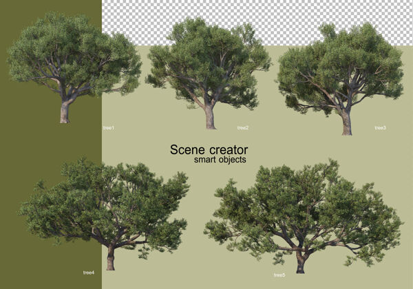 美丽各种树木的3d渲染隔离树树叶抽象