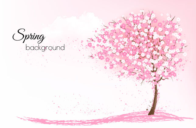植物春天的自然背景是粉红色盛开的樱花树草五月自行车