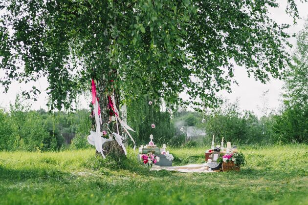 婚礼婚礼装饰由鲜花和装饰品组成 夏天在户外的树下荡秋千颜色蜜月浪漫