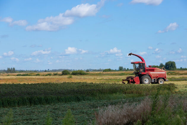 谷物一台红色的收割机在乡下收割谷子田间谷物在一个阳光明媚的夏日 侧视图收集概念工业航空农业