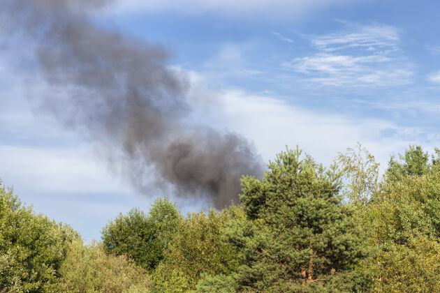 燃烧在蓝天的映衬下 燃烧着的森林树木和建筑物冒出黑烟紧急情况危险火