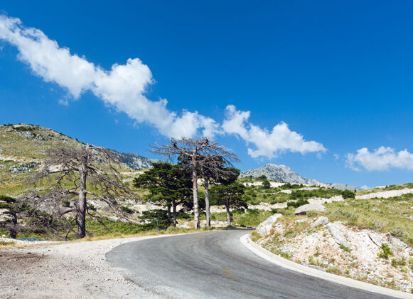 花夏日的略加拉山口景观 路边有道路和干枯的树木（阿尔巴尼亚）自然石头干燥