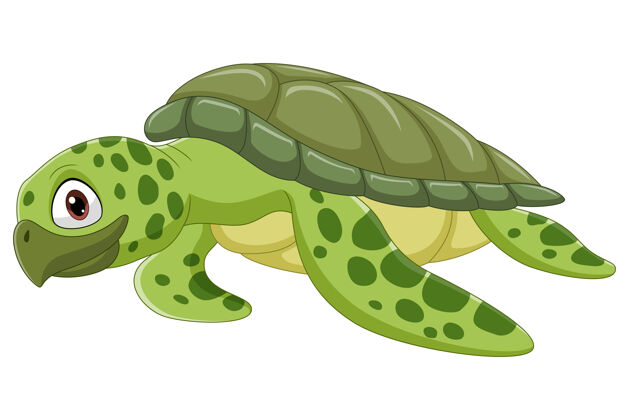 爬行动物卡通海龟海龟热带卡通