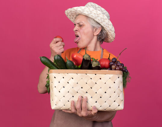 女戴着园艺帽的上了年纪的女园丁伸着舌头 拿着菜篮子 看着西红柿园艺篮子舌头