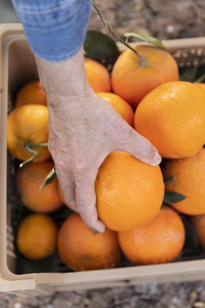 水果用装满橙子的盒子作曲生长收获自然
