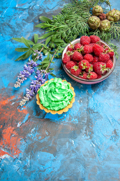 酸蓝莓碗和小馅饼的俯视图地方食品浆果