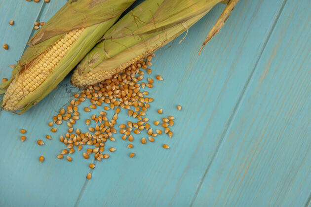 食物顶视图健康玉米与玉米粒隔离在一个蓝色的木制桌子与复制空间健康玉米新鲜