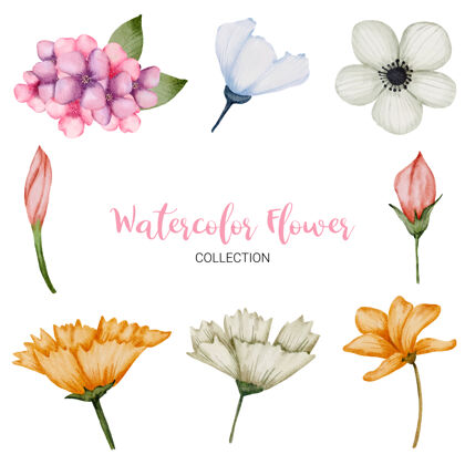收藏一组独立的部分 汇集到美丽的花束在水彩风格粉彩水彩花卉