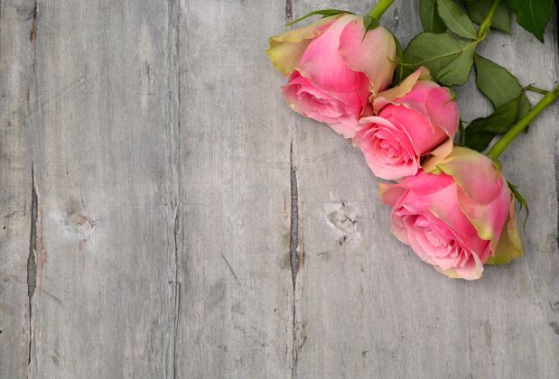 自然高角度拍摄美丽的粉红色玫瑰在木制表面玫瑰头木头