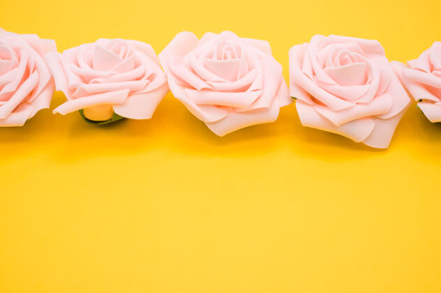 花一排粉红色玫瑰的特写镜头 隔离在黄色背景上 留有复制空间水平玫瑰划船
