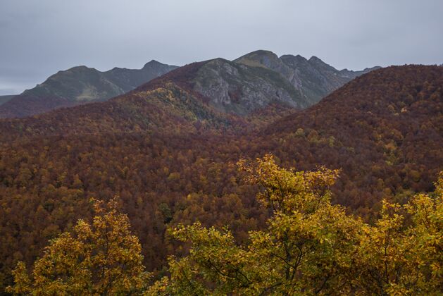 高高角度拍摄的欧罗巴国家公园在秋季在西班牙拍摄西班牙国家公园沙漠