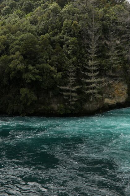 水流新西兰美丽的胡卡瀑布景观垂直拍摄小溪树叶景观