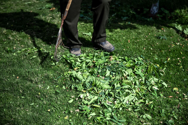 清洁有锯齿的金属耙子 用于清洁花园园艺叶子花园