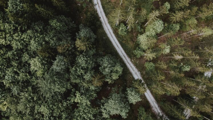 农村白天被森林包围的公路的空中拍摄场景森林高