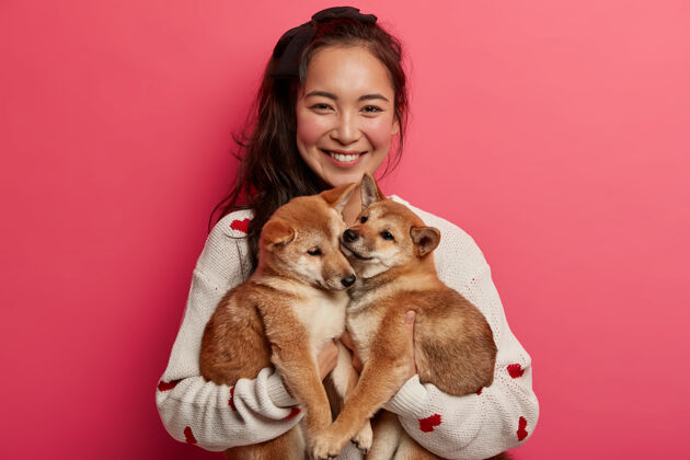 牙齿快乐的亚洲女人抱着两只可爱的石坝伊努小狗 微笑着 穿着白色套头衫 关心家畜朋友亚洲人玩耍