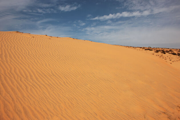炎热阳光明媚的沙漠沙子沙漠非洲