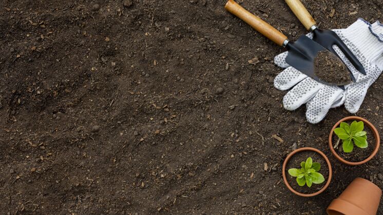 园艺铲植物园艺工具靠近园艺家里的花园园艺工具