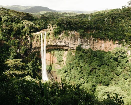 流动毛里求斯岛丛林中一个美丽的夏马雷尔瀑布镜头纯净滴落山