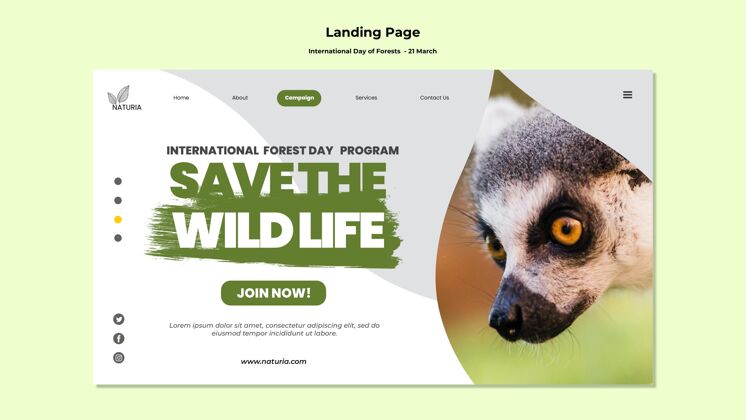 登录页国际森林日登陆页国际生态模板