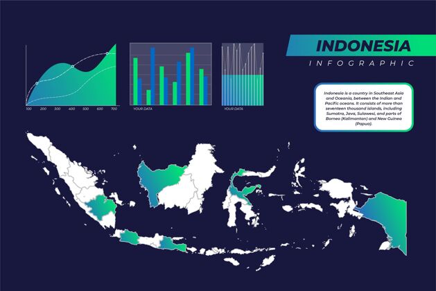 信息图梯度印尼地图信息图过程图形营销