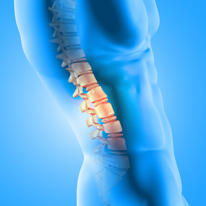 疾病突出显示脊椎的男性医学图形的3d渲染解剖学健康人