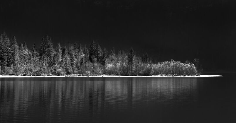 森林夜晚森林环绕的湖泊的灰度照片景色自然湖泊