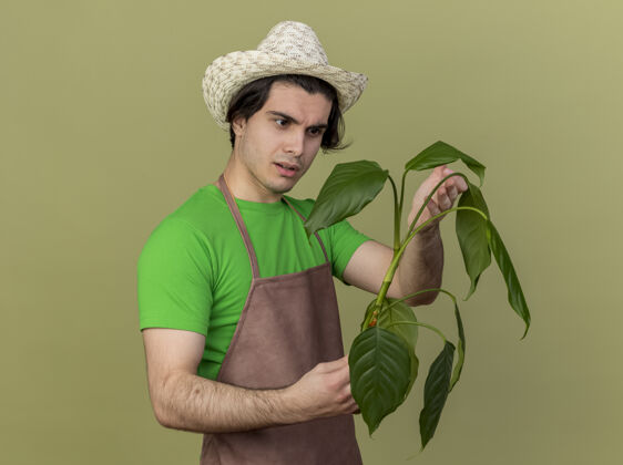 立场站在明亮的背景下 一个年轻的园丁站在围裙上 拿着帽子 看着植物 很感兴趣举行年轻围裙