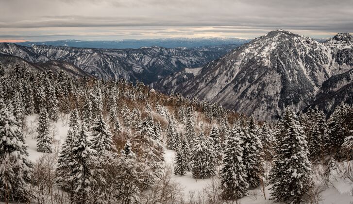 冰川冬天被雪覆盖的森林山脉的美丽镜头冬天极限天空