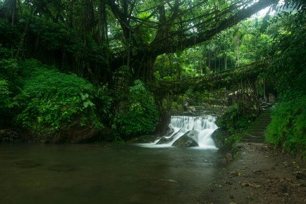 山一个美丽的自然环绕的小瀑布的惊人镜头小溪和平水