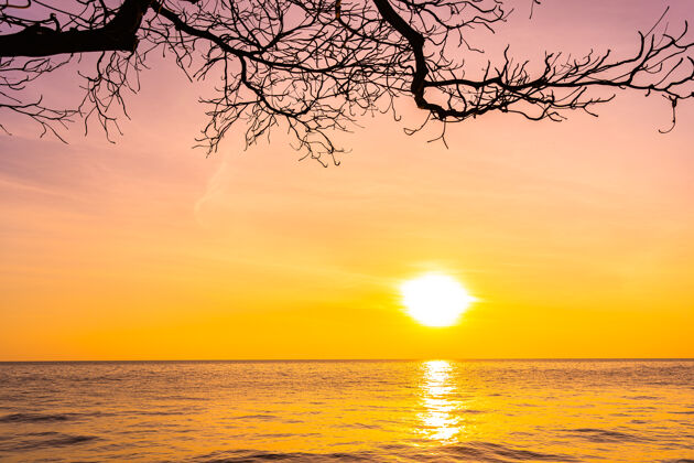 海洋日落或日出时椰子树的剪影 海洋的美丽景色加勒比景观棕榈
