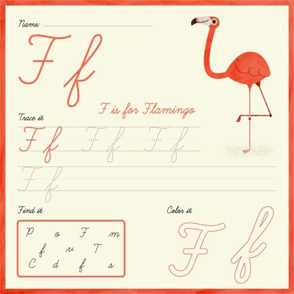 教育家带火烈鸟的字母f资源早期教育孩子