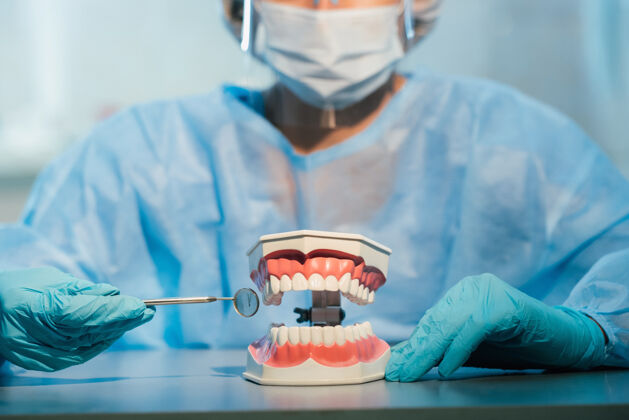 人一个戴着蓝色手套和口罩的牙科医生拿着一个上下颚的牙科模型和一面牙科镜手技师桥梁