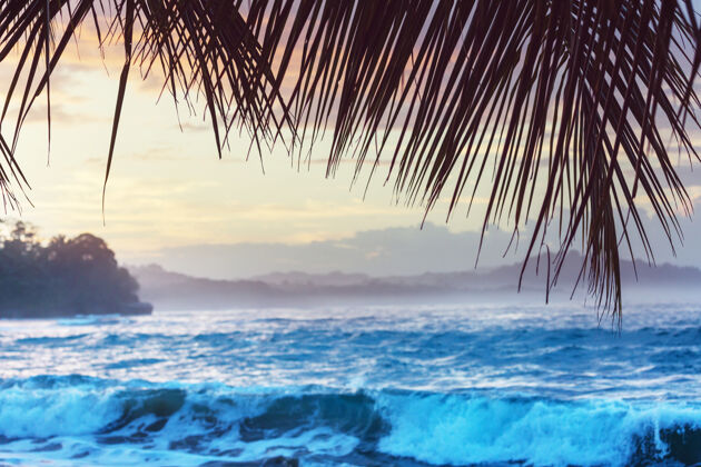 蓝色哥斯达黎加美丽的热带太平洋海岸公园阳光明媚热带
