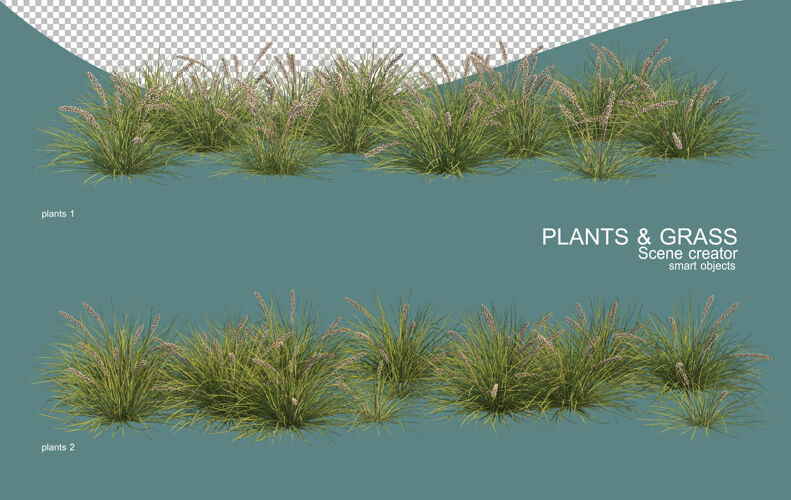自然草和灌木排列的三维渲染园艺户外三维渲染