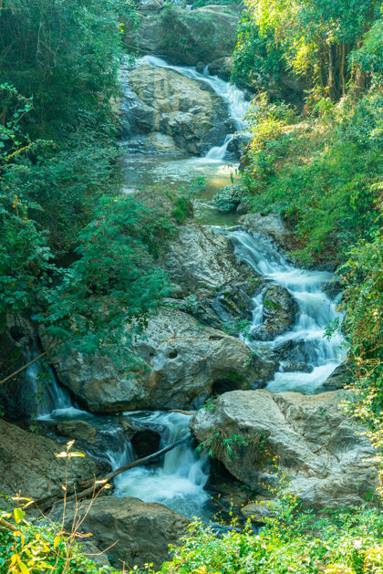 新鲜泰国清迈美丽的美莎瀑布植物叶森林